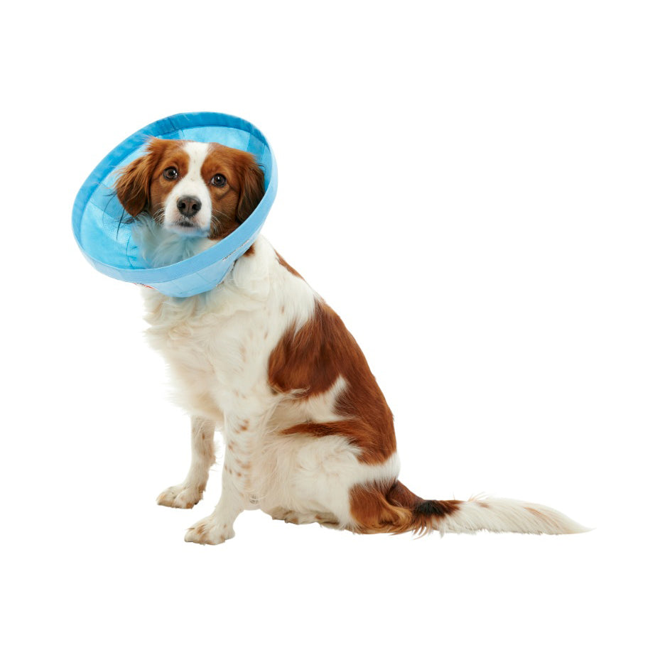 Buster Soft Flex Collar for Cats and Dogs - view 13