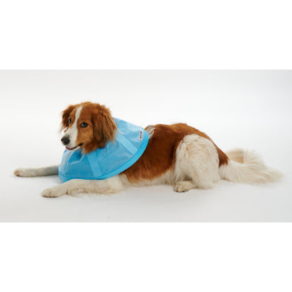 Buster Soft Flex Collar for Cats and Dogs - view 10