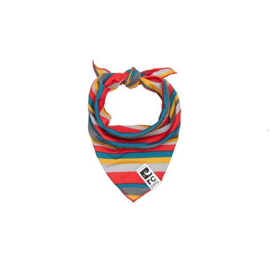 Zephyr Cooling Bandana for Dogs 1 Bandana - Default Title - product image 1