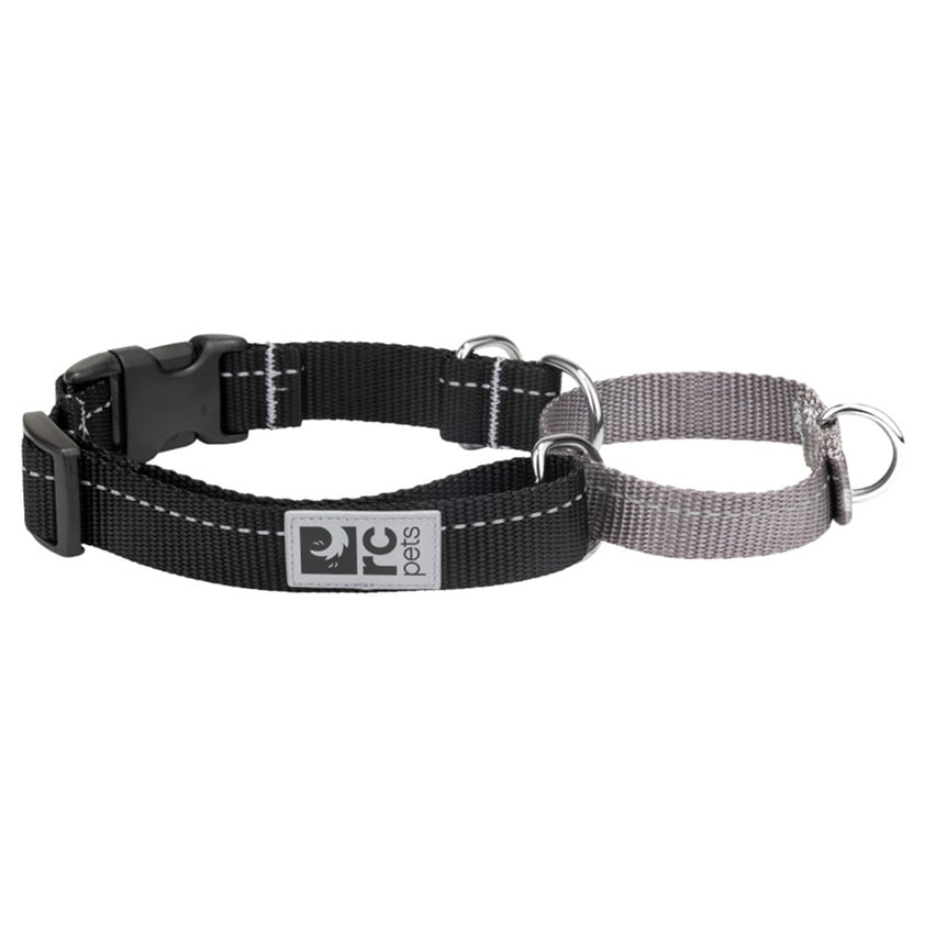 Primary Web Training Clip Collar for Dogs - Default Title - product image 1