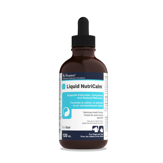 Rx Vitamins NutriCalm Suspension for Cats and Dogs (Salmon) 120 mL Bottle - Default Title - product image 1