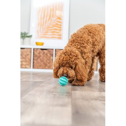 Toy Ball Denta Fun for Dogs - 5 cm - product image 2