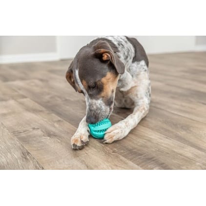 Toy Ball Denta Fun for Dogs - 5 cm - product image 3