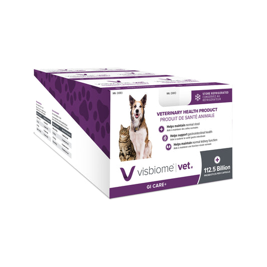 Visbiome Vet GI Care+ for Cats and Dogs 6 x 40 Cap - Default Title - product image 1