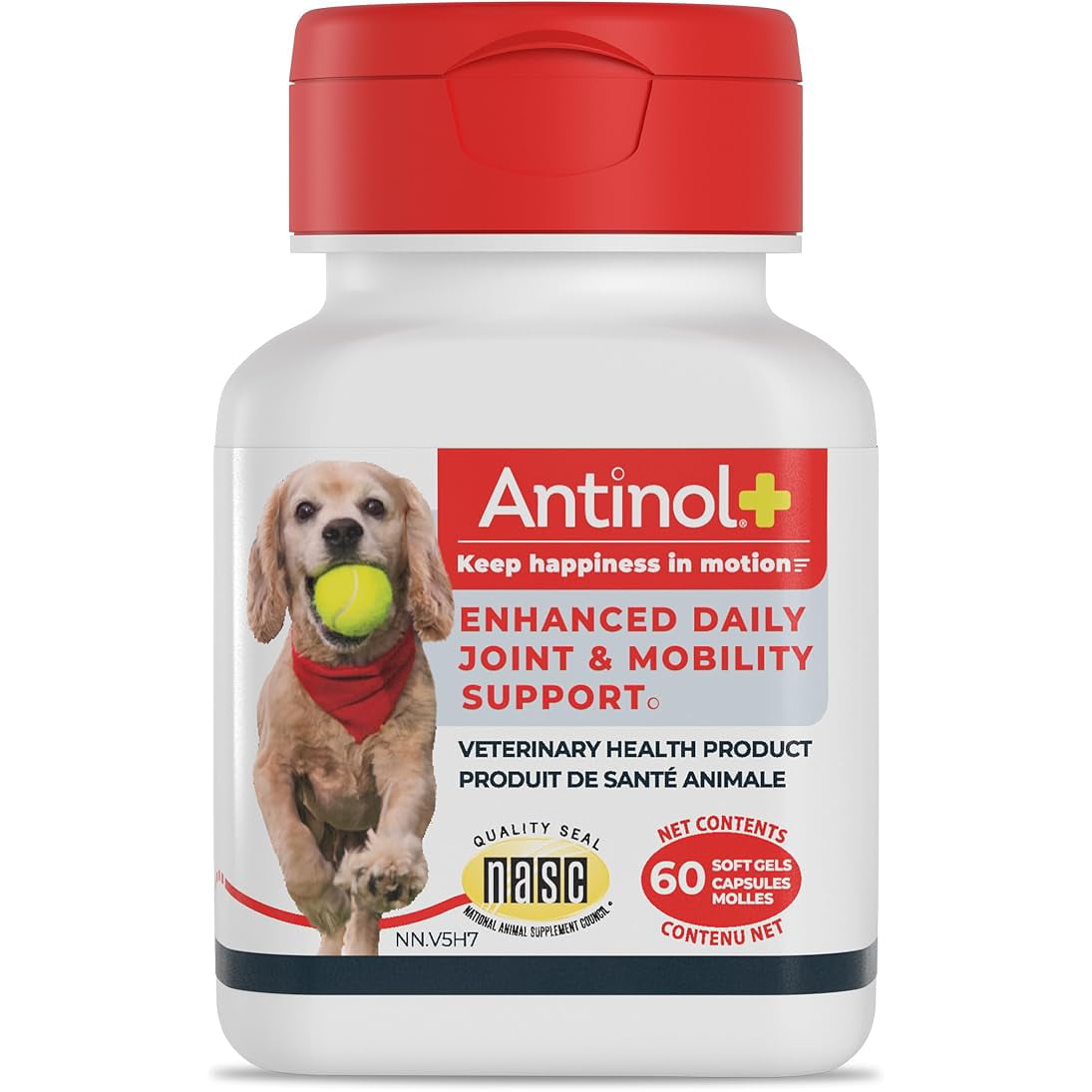 Antinol Plus Softgel for Dogs (Flavourless) 60 Softgels Test - Default Title - product image 1
