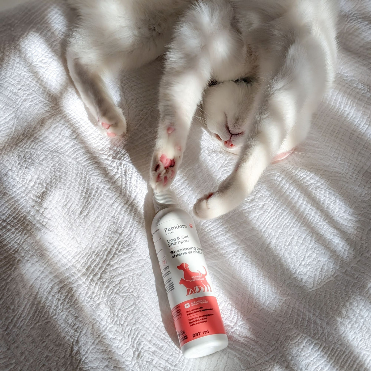 Shampoo No-Rinse for Dogs 237 mL Bottle - Default Title - product image 2