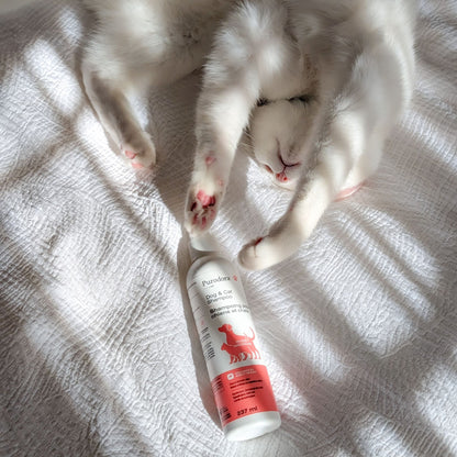 Shampoo No-Rinse for Dogs 237 mL Bottle - Default Title - product image 2