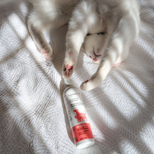 Shampoo No-Rinse for Dogs 237 mL Bottle - Default Title - product image 2