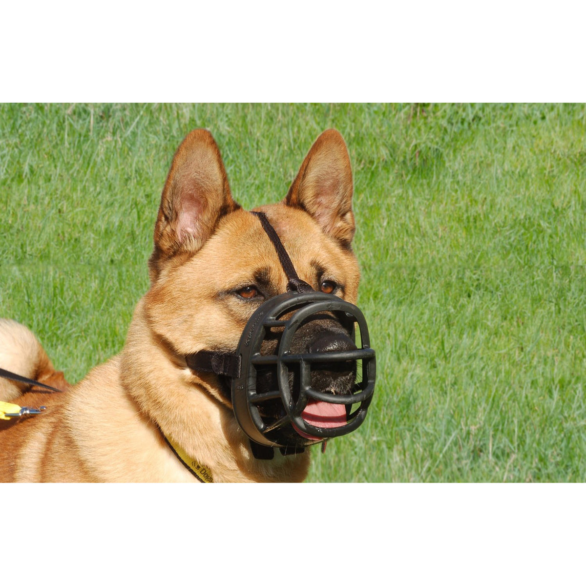 Ultra Muzzle for Dogs, Black, 6 - Default Title - product image 3