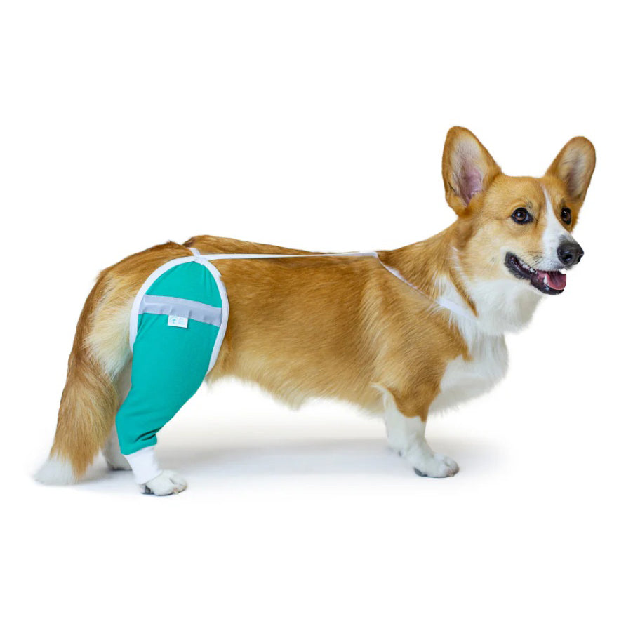 Protective Sleeve for Hip and Thigh Short - Standard - product image 1