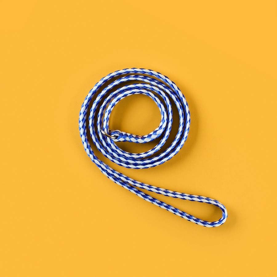 Control Leads for Dogs (Blue) 12 x 53 in - Default Title - product image 1