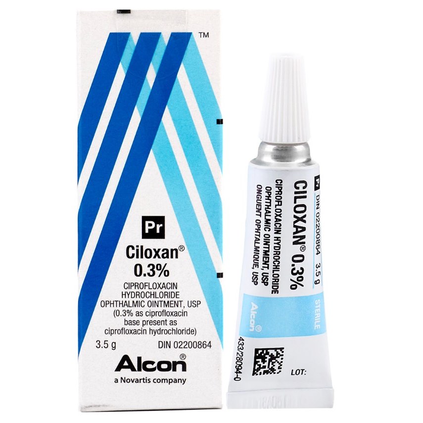 Ciloxan Ophthalmic Ointment 1 Tube of 3.5 g