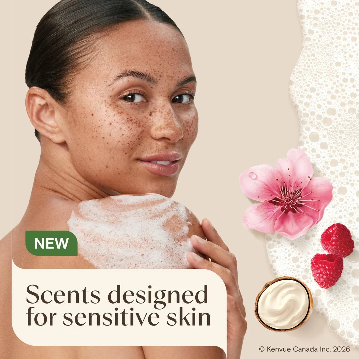 Aveeno Daily Moisturizing Body Wash Shea Butter Berry Scent, Sensitive Skin Scents product detail