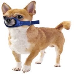 Quick Muzzle for Dogs - XXSmall - product image 1