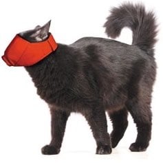 Quick Muzzle for Cats (Red) - Default Title - product image 1