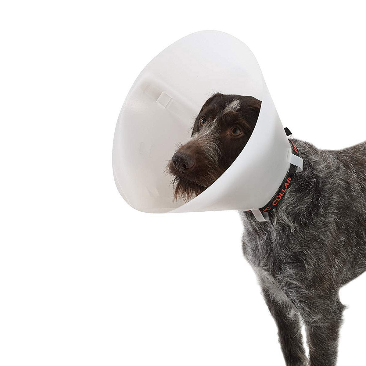 Buster Classic Collar for Dogs 25 cm, White - Default Title - product image 1