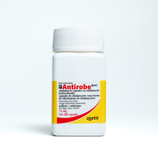 Antirobe for Dogs, 75 mg, 200 Capsules