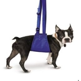 Quick-Lift for Pets 1 Unit - Default Title - product image 1